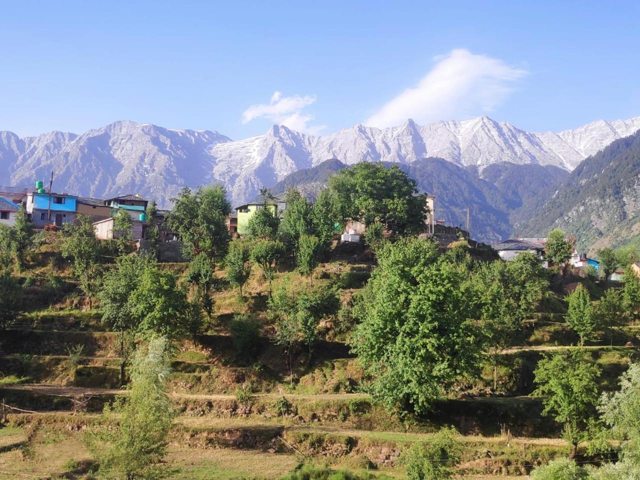 Nirmal Homestay Дхарамсала Екстериор снимка