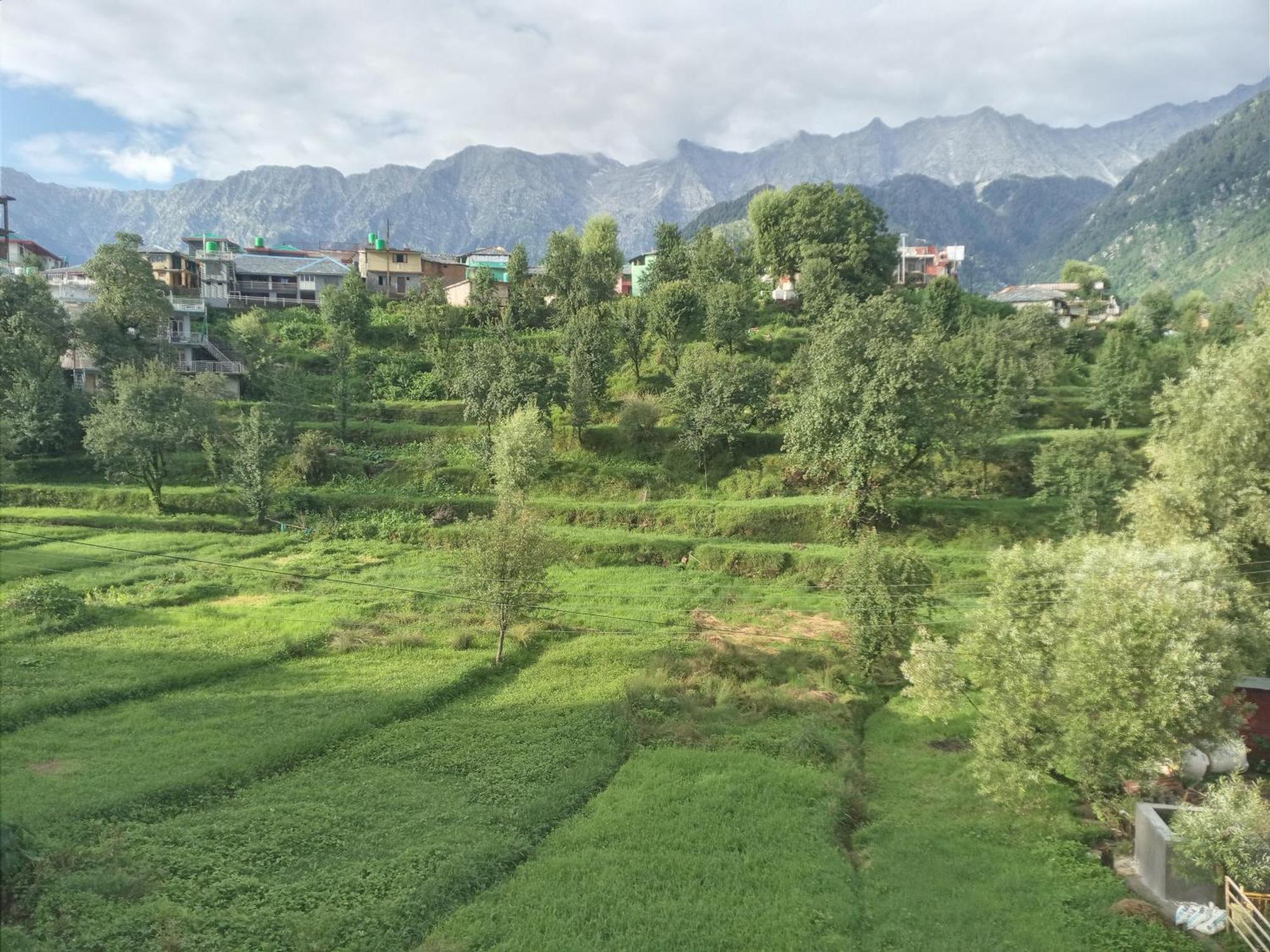 Nirmal Homestay Дхарамсала Екстериор снимка